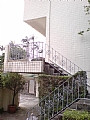 Click Thumbnails to Enlarge