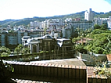Click Thumbnails to Enlarge