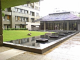 Click Thumbnails to Enlarge