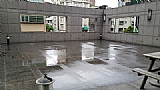 Click Thumbnails to Enlarge